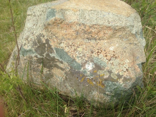 Гигантские зелёные валуны для ландшафтного дизайна весом более 5 тонн купить в Алтайском край